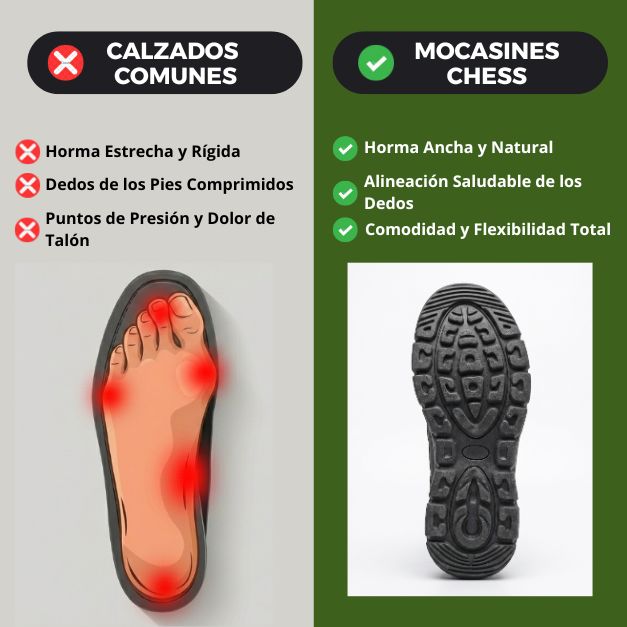 Zapatillas Terra Flex