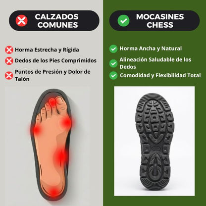 Zapatillas Terra Flex